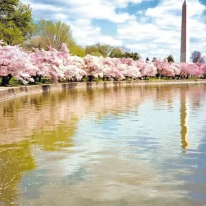 Explore Highlights of the east coast for 10 days with DERTOUR and discover unforgettable experiences - Photo 6