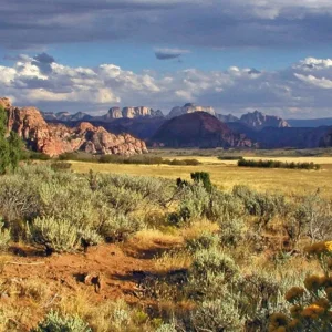 Explore In the exciting West (21 nights) for 22 days with DERTOUR and discover unforgettable experiences - Photo 6