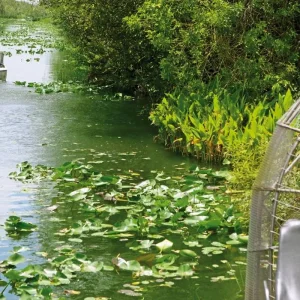 Explore Florida - Family Fun in the Sun for 13 days with DERTOUR and discover unforgettable experiences - Photo 3