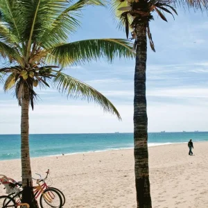 Explore Florida - Family Fun in the Sun for 13 days with DERTOUR and discover unforgettable experiences - Photo 6
