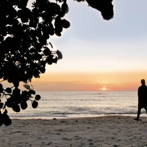 Explore Florida - Family Fun in the Sun for 13 days with DERTOUR and discover unforgettable experiences - Photo 7