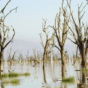 Explore Adventure Kenya (from Nairobi/to Mombasa) for 7 days with DERTOUR and discover unforgettable experiences - Photo 7