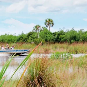 Explore Florida - Family Fun in the Sun for 13 days with DERTOUR and discover unforgettable experiences - Photo 11