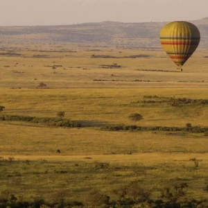 Explore Adventure Kenya (from Nairobi/to Mombasa) for 7 days with DERTOUR and discover unforgettable experiences - Photo 11