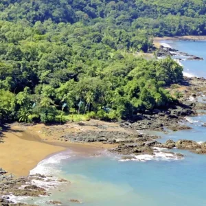 Explore Drake Bay & Corcovado National Park (from/to San Jose) for 4 days with DERTOUR and discover unforgettable experiences - Photo 11
