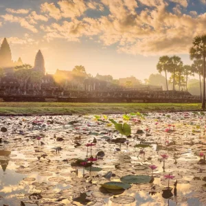 Explore Highlights in Laos and Cambodia (group tour) for 11 days with DERTOUR and discover unforgettable experiences - Photo 10