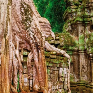Explore Cambodia's treasures for 6 days with DERTOUR and discover unforgettable experiences - Photo 6