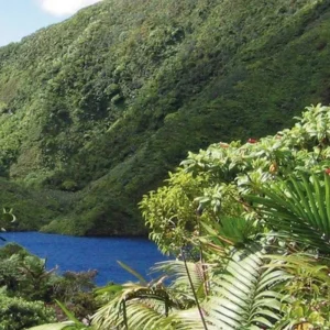 Explore Discover Dominica's treasures for yourself for 8 days with DERTOUR and discover unforgettable experiences - Photo 4