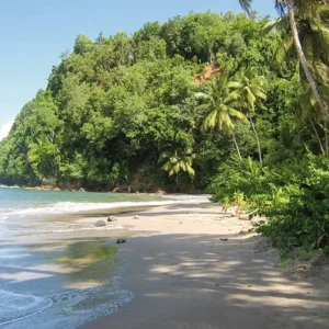 Explore Discover Dominica's treasures for yourself for 8 days with DERTOUR and discover unforgettable experiences - Photo 5