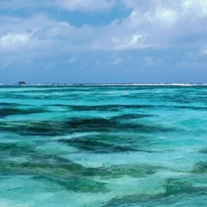 Explore Island Hopping Seychelles (Hotels: middle class, standard transfers, 8 nights) for 9 days with DERTOUR and discover unforgettable experiences - Photo 7