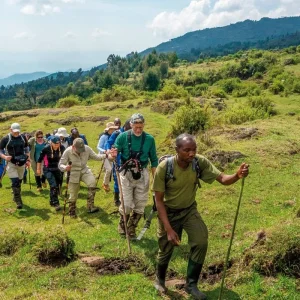 Explore Experience gorillas up close for 4 days with DERTOUR and discover unforgettable experiences - Photo 4
