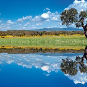 Explore Portugal's Highlights - From Porto to the Algarve for 11 days with DERTOUR and discover unforgettable experiences - Photo 5