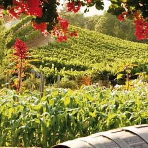 Explore Natural beauty of the west coast for 15 days with DERTOUR and discover unforgettable experiences - Photo 3