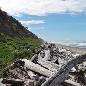 Explore Natural beauty of the west coast for 15 days with DERTOUR and discover unforgettable experiences - Photo 4