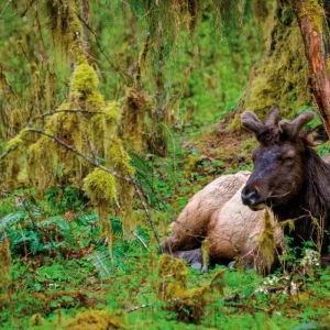 Explore Natural beauty of the west coast for 15 days with DERTOUR and discover unforgettable experiences - Photo 5