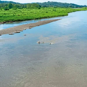 Explore Costa Rica - Off the beaten track for 9 days with DERTOUR and discover unforgettable experiences - Photo 2