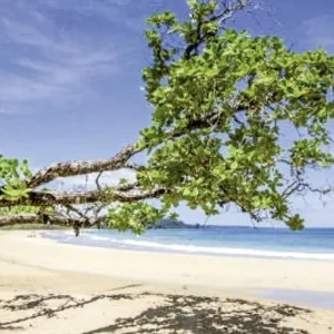 Explore Panama on your own - drop-off in David and return flight to Panama City for 10 days with DERTOUR and discover unforgettable experiences - Photo 4