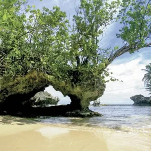 Explore Panama on your own - drop-off in David and return flight to Panama City for 10 days with DERTOUR and discover unforgettable experiences - Photo 5