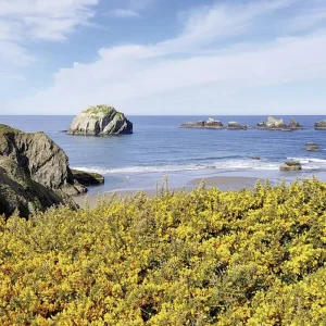 Explore Natural beauty of the west coast for 15 days with DERTOUR and discover unforgettable experiences - Photo 8