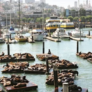 Explore Natural beauty of the west coast for 15 days with DERTOUR and discover unforgettable experiences - Photo 9
