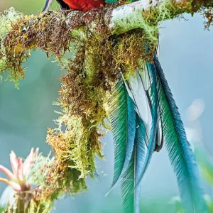 Explore Costa Rica - Off the beaten track for 9 days with DERTOUR and discover unforgettable experiences - Photo 6