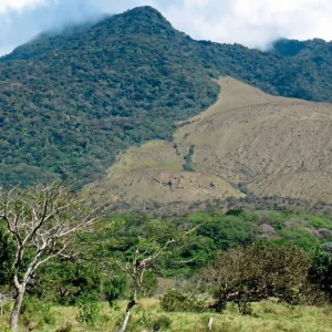 Explore Undiscovered Costa Rica for 8 days with DERTOUR and discover unforgettable experiences - Photo 5