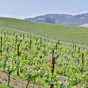 Explore Natural beauty of the west coast for 15 days with DERTOUR and discover unforgettable experiences - Photo 11
