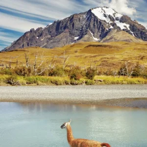 Explore Active experience Torres del Paine National Park for 4 days with DERTOUR and discover unforgettable experiences - Photo 4