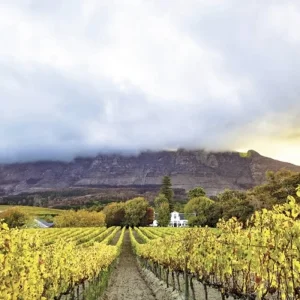 Explore South Africa a la carte for 14 days with DERTOUR and discover unforgettable experiences - Photo 7