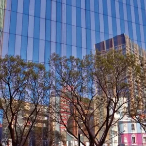 Explore South Africa a la carte for 14 days with DERTOUR and discover unforgettable experiences - Photo 9