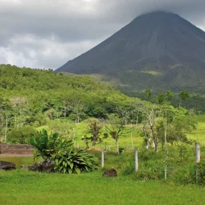 Explore Green paradise (10 nights) for 11 days with DERTOUR and discover unforgettable experiences - Photo 2