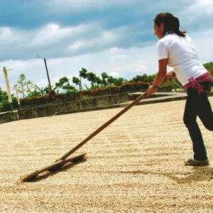 Explore Green paradise (10 nights) for 11 days with DERTOUR and discover unforgettable experiences - Photo 5