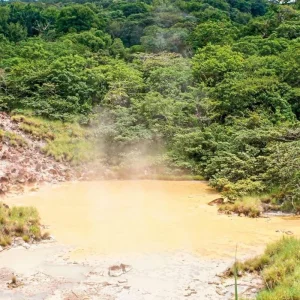 Explore Green paradise (10 nights) for 11 days with DERTOUR and discover unforgettable experiences - Photo 7