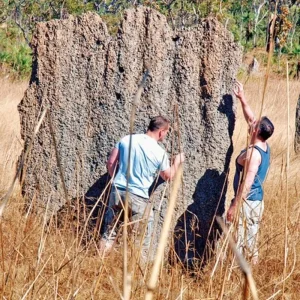 Explore Kakadu on your own for 6 days with DERTOUR and discover unforgettable experiences - Photo 2
