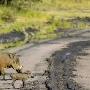 Explore Adventure Kenya (private tour) for 8 days with DERTOUR and discover unforgettable experiences - Photo 6