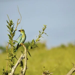 Explore Adventure Kenya (private tour) for 8 days with DERTOUR and discover unforgettable experiences - Photo 7