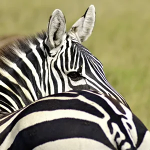 Explore Adventure Kenya (private tour) for 8 days with DERTOUR and discover unforgettable experiences - Photo 9