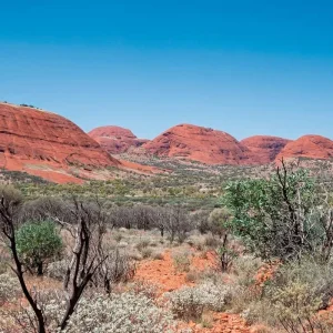 Explore Explorers Way for 22 days with DERTOUR and discover unforgettable experiences - Photo 9