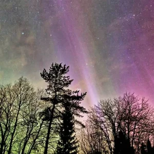 Explore Winter Adventures in Vuokatti - Vuokattinmaa Holiday Apartments for 8 days with DERTOUR and discover unforgettable experiences - Photo 5