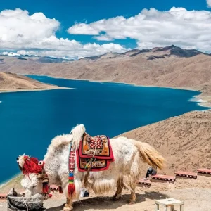Explore Fascination Tibet (private tour) for 11 days with DERTOUR and discover unforgettable experiences - Photo 4