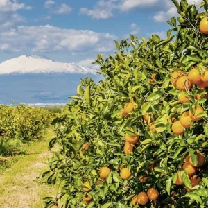 Explore Temples, Charming Landscapes and the Atna for 8 days with DERTOUR and discover unforgettable experiences - Photo 2