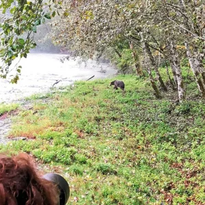 Explore Klahoose Wilderness Resort for 4 days with DERTOUR and discover unforgettable experiences - Photo 5