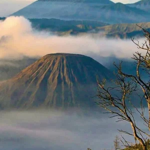 Explore Mysterious Java (group tour) for 8 days with DERTOUR and discover unforgettable experiences - Photo 10