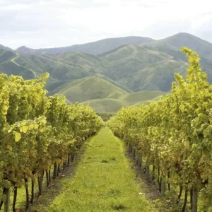 Explore Discover New Zealand (Christchurch - Auckland) for 22 days with DERTOUR and discover unforgettable experiences - Photo 8