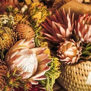 Explore South Africa A La Carte - Small Group Tour for 14 days with DERTOUR and discover unforgettable experiences - Photo 8