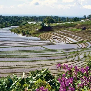 Explore Mysterious Java (private tour) for 8 days with DERTOUR and discover unforgettable experiences - Photo 2