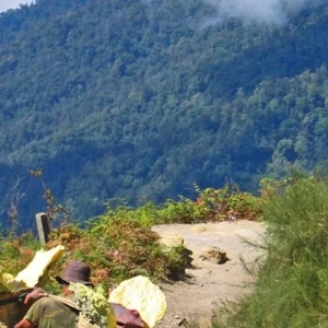 Explore Adventure West Bali & East Java (group tour) (from Tanah Lot to Mengwi) for 4 days with DERTOUR and discover unforgettable experiences - Photo 3