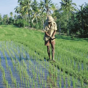 Explore Adventure West Bali & East Java (group tour) (from Tanah Lot to Mengwi) for 4 days with DERTOUR and discover unforgettable experiences - Photo 5