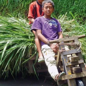 Explore Mysterious Java (private tour) for 8 days with DERTOUR and discover unforgettable experiences - Photo 9