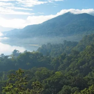 Explore Adventure West Bali & East Java (group tour) (from Tanah Lot to Mengwi) for 4 days with DERTOUR and discover unforgettable experiences - Photo 8